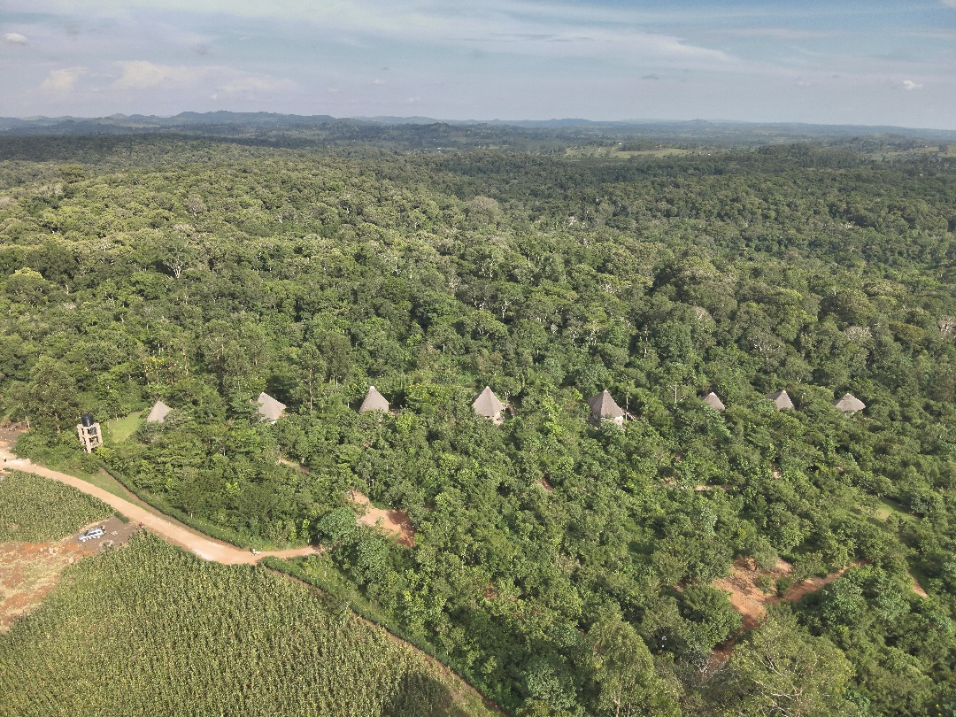 Kibale Canopy Lodge